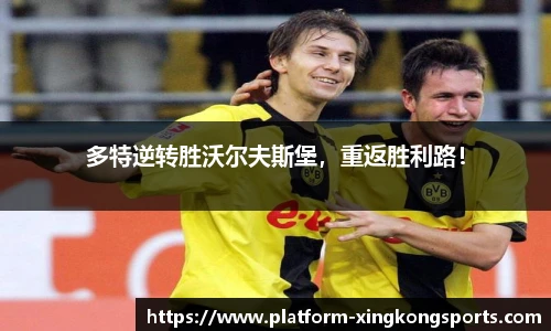 多特逆转胜沃尔夫斯堡,重返胜利路!
