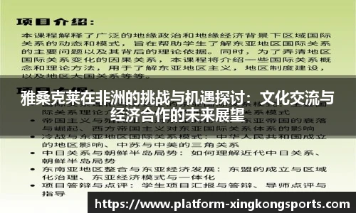 雅桑克莱在非洲的挑战与机遇探讨:文化交流与经济合作的未来展望