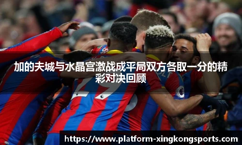 加的夫城与水晶宫激战成平局双方各取一分的精彩对决回顾